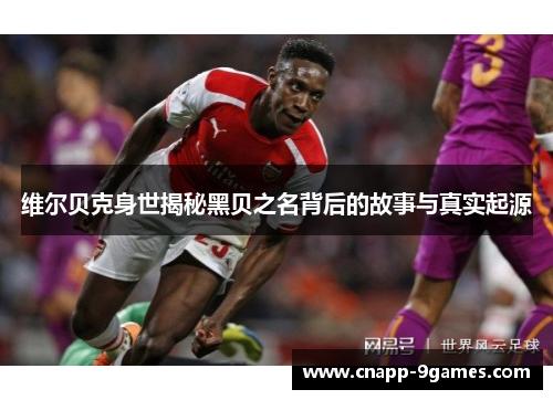 维尔贝克身世揭秘黑贝之名背后的故事与真实起源