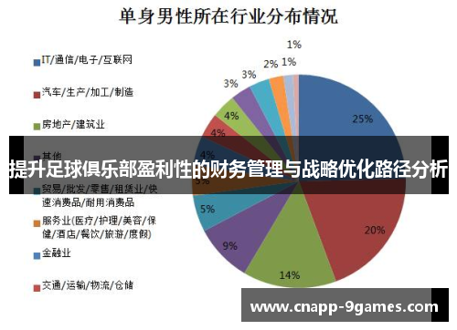 提升足球俱乐部盈利性的财务管理与战略优化路径分析