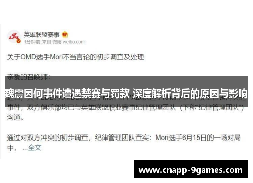 魏震因何事件遭遇禁赛与罚款 深度解析背后的原因与影响